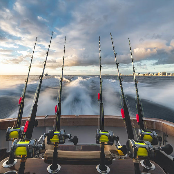 Rods and Reels