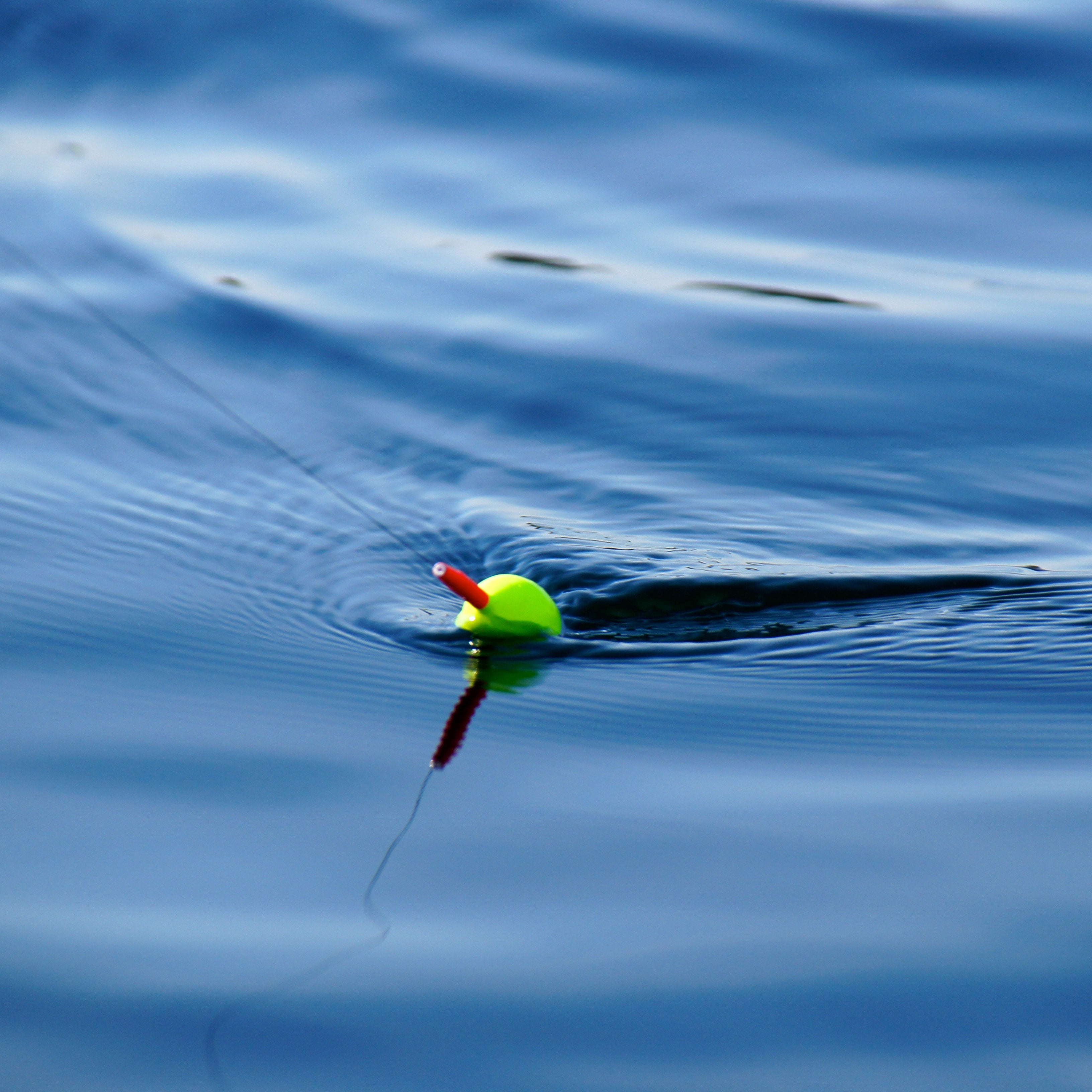 Terminal Tackle