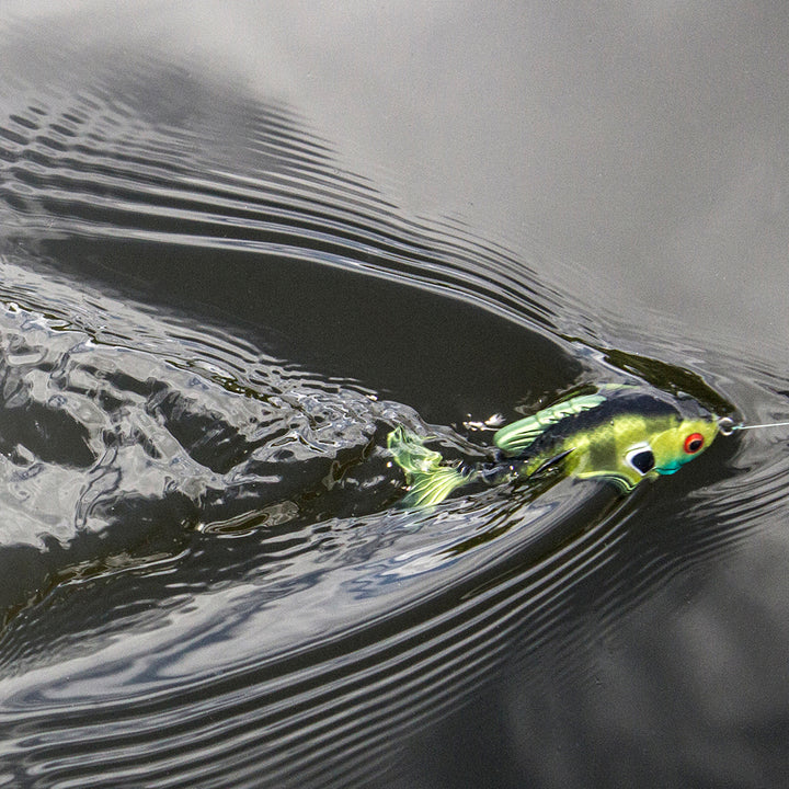 Lunkerhunt Topwater Combo