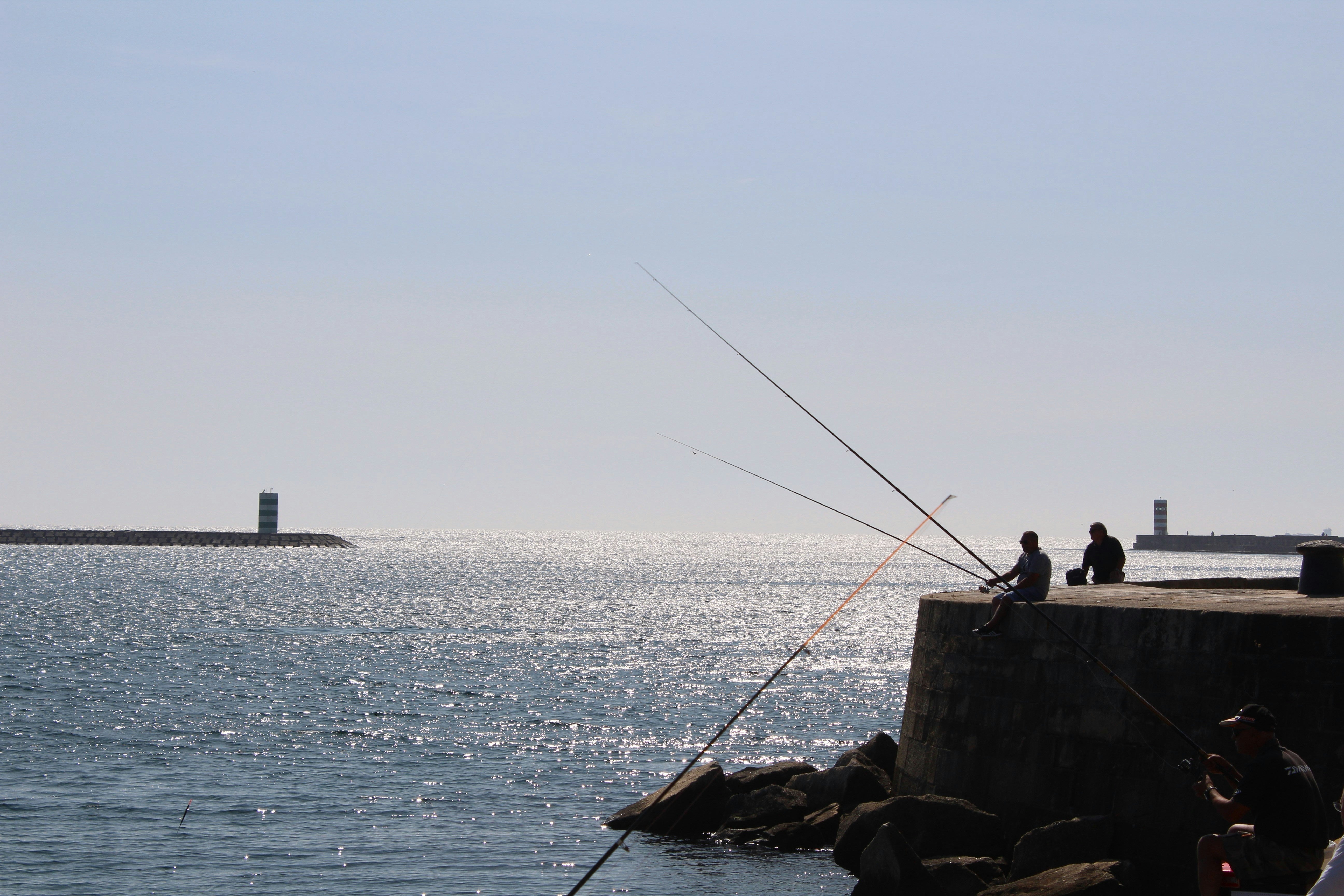Why Telescopic Rods Belong in Your Kit